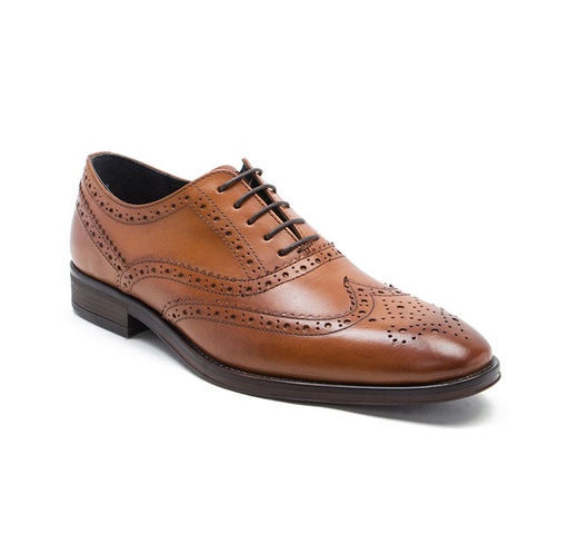 [TC001] Thomas Crick Reynolds Tan
